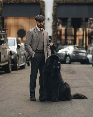 gray-tweed-blazer-sweater-flat-cap